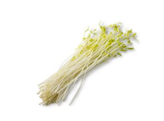 White Beans Sprouts, Makar