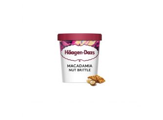 Haagen-Dazs Macadamia Nut Brittle