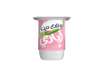 Dina Farms Light Yogurt