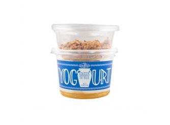 Gourmet Greek Yogurt with Honey & Muesli