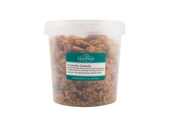 Gourmet Crunchy Granola with Honey & Nuts (No Added Sugar)