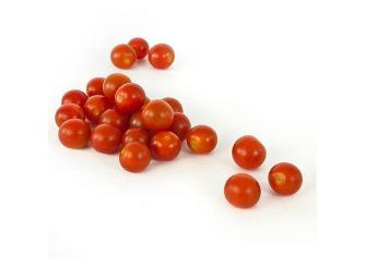 Cherry Tomato, Dima