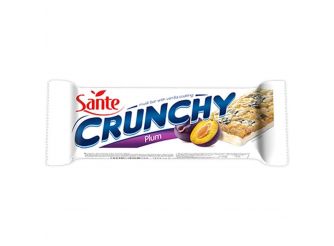 Sante Crunchy Plum Bar