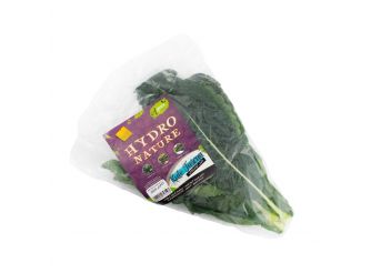 Kale Tuscan, Aqua 100g