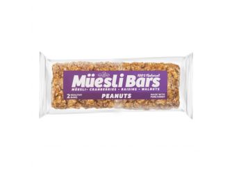 Gourmet Peanut & Dried Fruit Muesli Bars