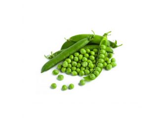 Peas, Tanboul