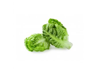 Little Gem Lettuce, Makar