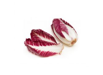 Red Endive, Makar