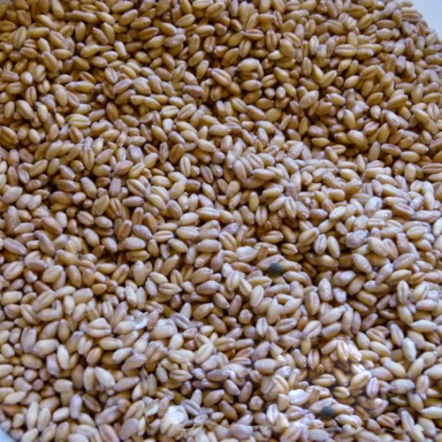 Abu Auf Wheat (Beleela) 1Kg