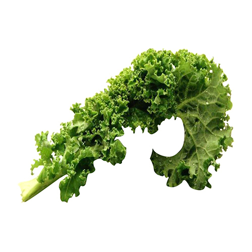 Green House Kale Sensation 250g