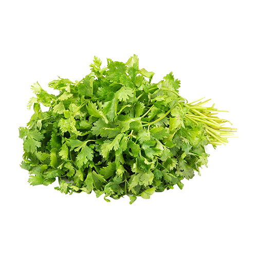 Tabi3Y Fresh Coriander - 100g