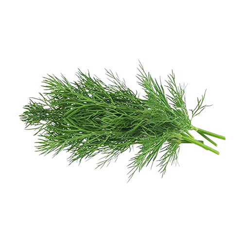 Tabi3Y Fresh Dill - 100g