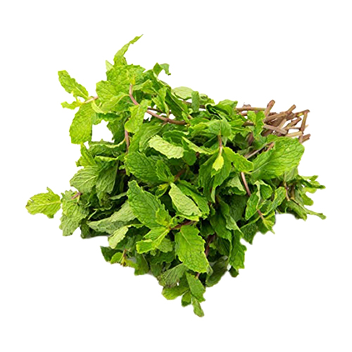 Tabi3Y Fresh Mint - 100g