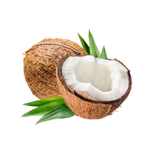 Fresh Coconut - 1 Piece