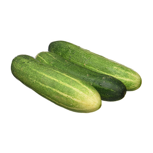 Cucumber Pack 1K