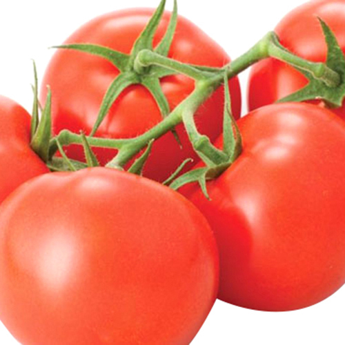 Belco Premium Punnet Tomatoes - 500g