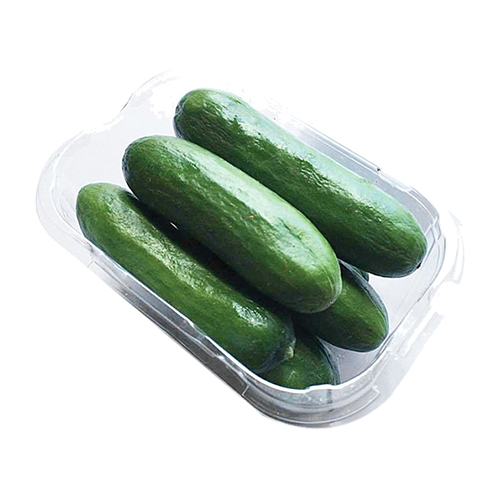 Fresh Cucumber - Packed