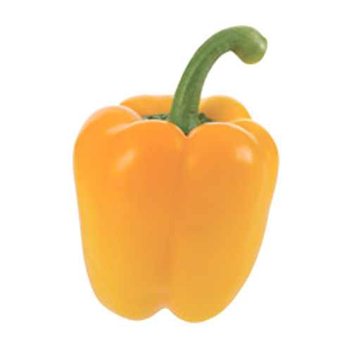 Fresh Yellow Pepper - Packed