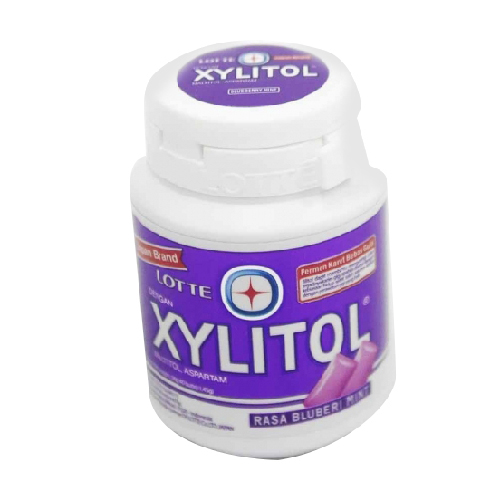 Lotte Xylitol Blueberry Mint Gum - 58g