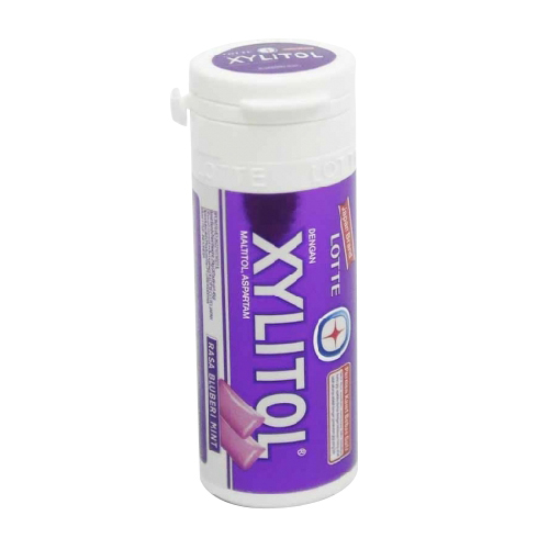 Lotte Xylitol Blueberry Mint Gum - 29g