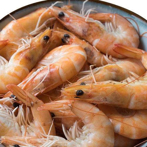 El-Basha Shrimps (70/90) - 400g