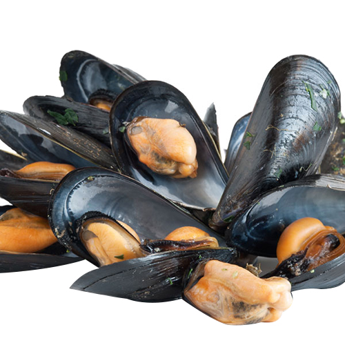 Premiere Mussels Whole Shell - 1kg