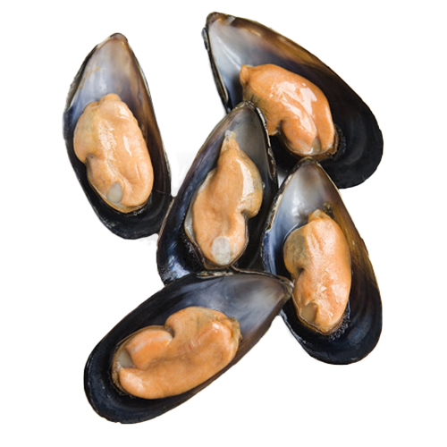 Mussels Half Shell 40-50 1 K