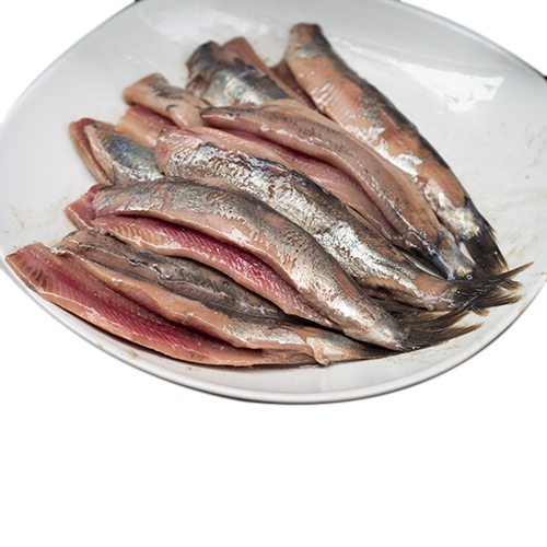 Holland Herring Fillet - 1kg