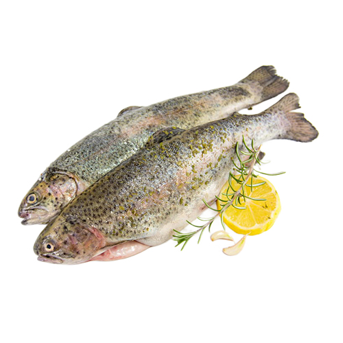 Nagel Fish - 1Kg