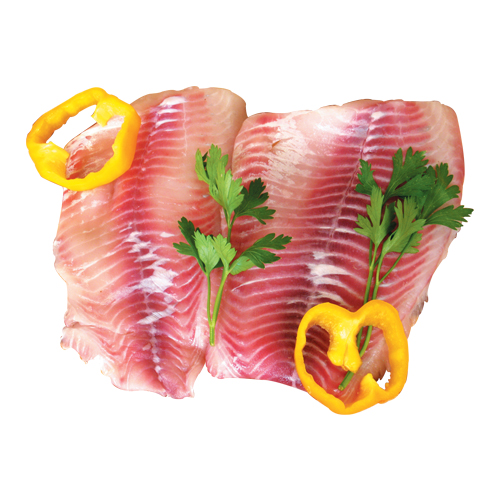 Bolty Fillet Fish1Kg