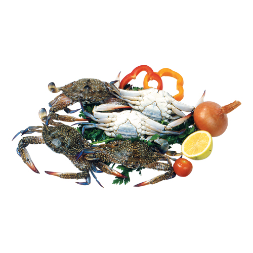 Crab - 1Kg