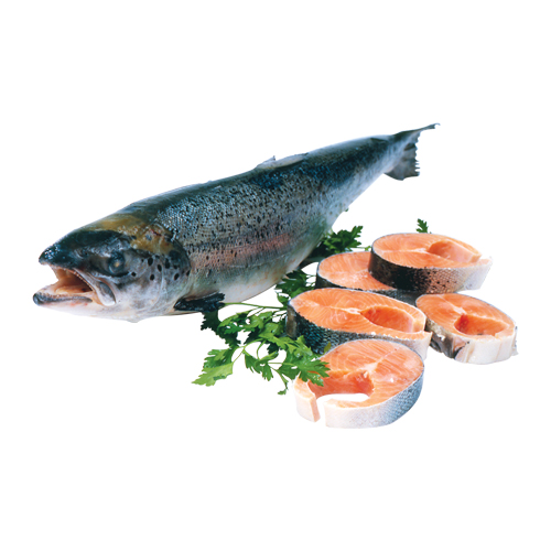 Salmon Fish Slices - 1kg