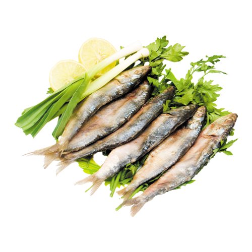 Sardine Balady Fish - 1kg