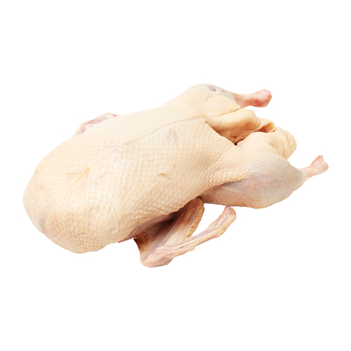 Duck -1kg