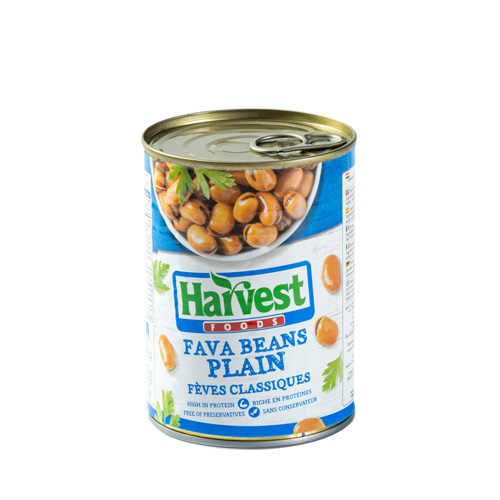 Harvest Plain Fava Beans 400g