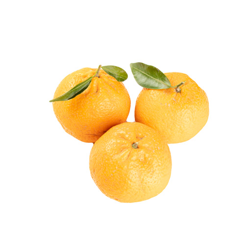 Mandarin Orange - 1kg