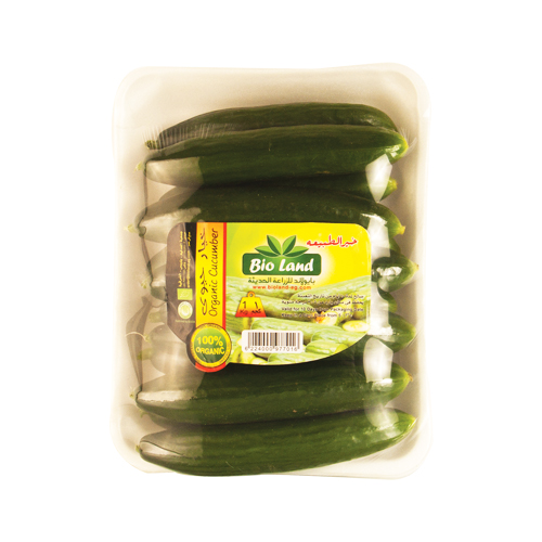 Bio Land Organic Cucumber - 1kg