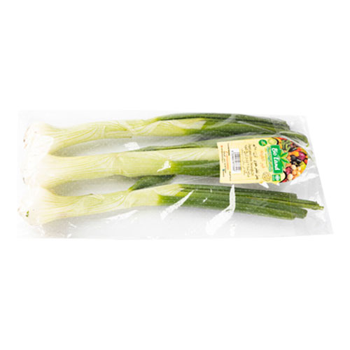 Bio Land Organic Gr.Onion 250G