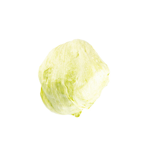 Iceberg Lettuce 1Piece