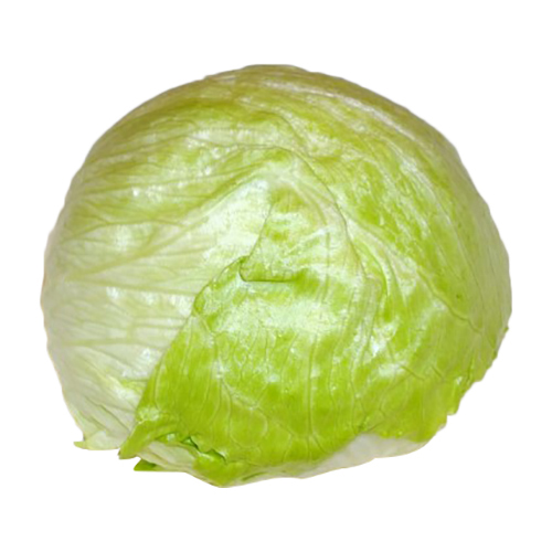 Latoga Lettuce - 1Piece