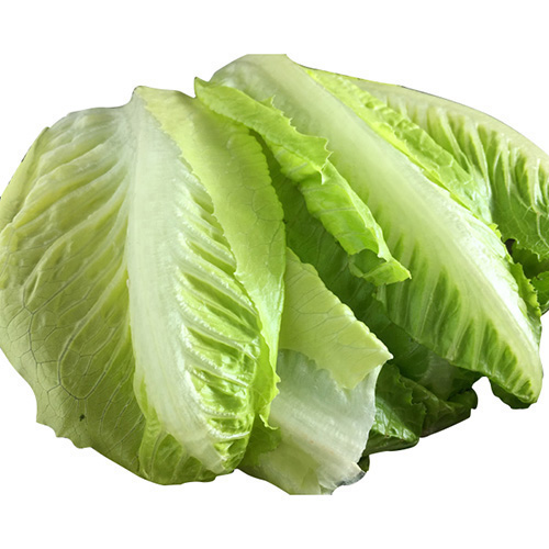 Koria Lettuce - 1Piece