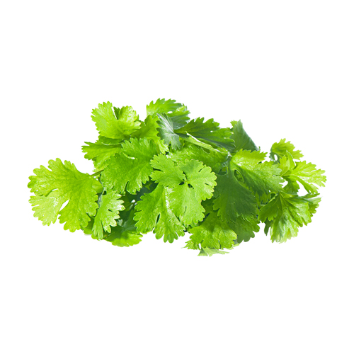 Prepacked Fresh Coriander - 100g