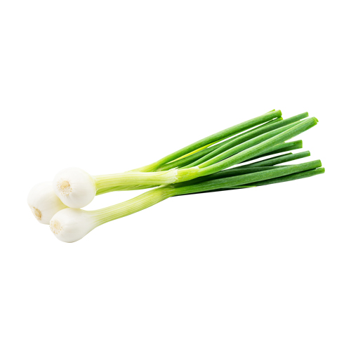 Green Onion By Pack