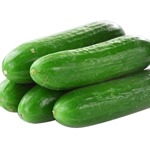 Mafa Punnet Cucumber - 750g