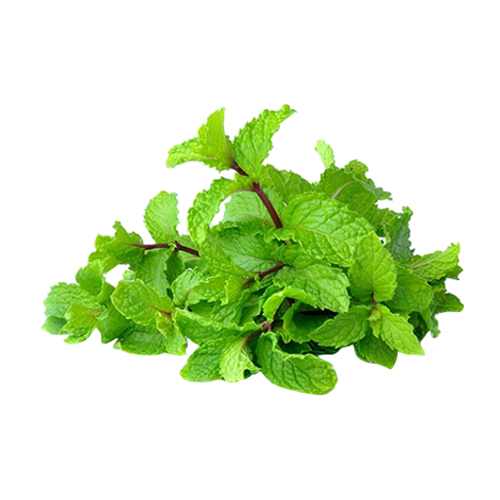 Fresh Mint Soudi - 100g