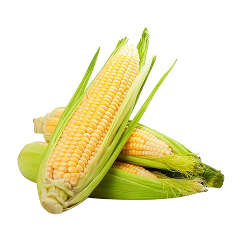 Pharaana 2 Piece Imported Corn - 450g